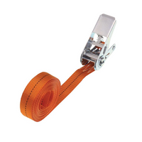 Μονόκομτος ιμάντας HILLS 5m/25mm/1t με εντατήρα