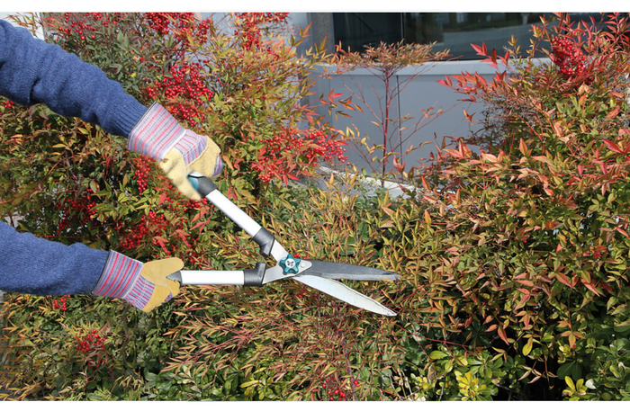 Γάντια εργαστηρίου LAMPA Shammy, δερμάτινα γάντια, μέγεθος 9