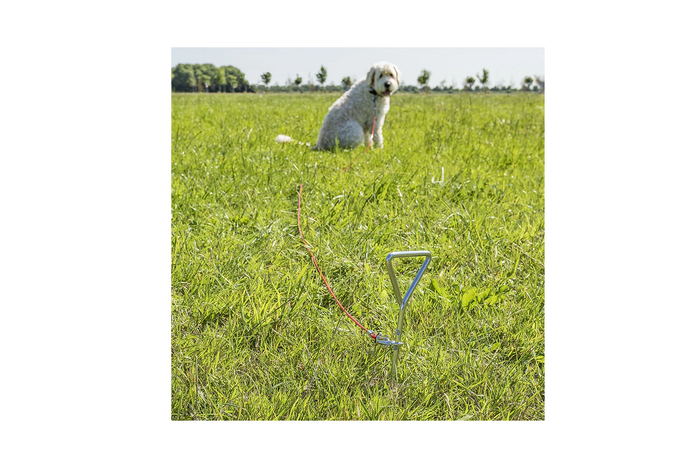 Στύλος στερέωσης ζώνης ProPlus 361857 με χαλύβδινο καλώδιο 4,5 μ.