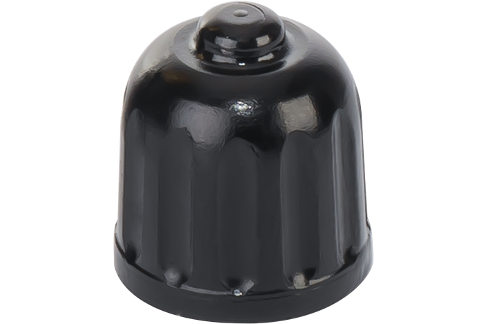 Βαλβίδες / βαλβίδες αυτοκινήτου TR 600 HP, σετ 10 τμχ